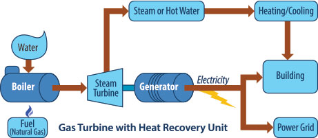 Combined Heat and Power Flow Chart